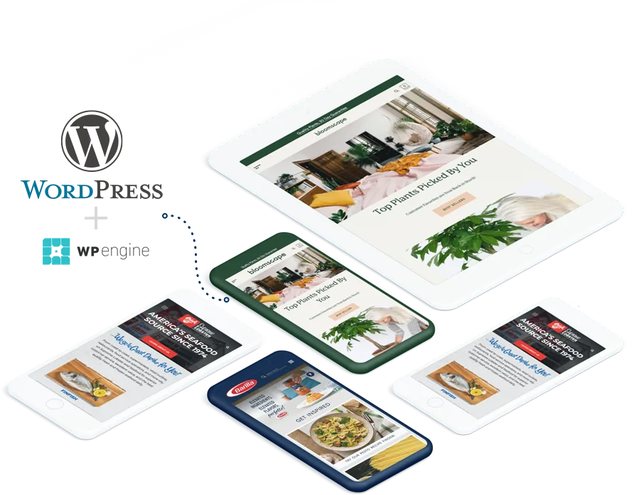 WordPress   开发 - 竞技宝